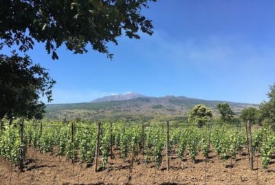 tenuta ferrata castiglione di sicilia