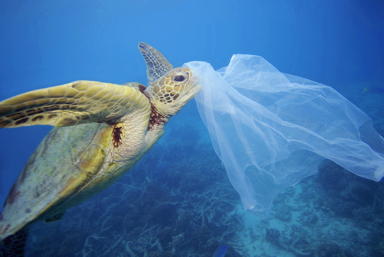 Mare Jonio varianti inquinamento wwf