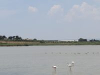 Marzamemi borgo sicilia pantano fenicotteri