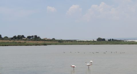 Marzamemi borgo sicilia pantano fenicotteri