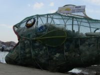Marzamemi borgo sicilia pesciolino mangia plastica