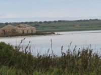 Oasi faunistica Vendicari Riserva naturale pantano