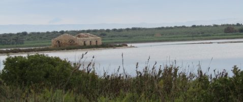 Riserva naturale Vendicari pantano