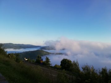 paesaggio camino de santiago