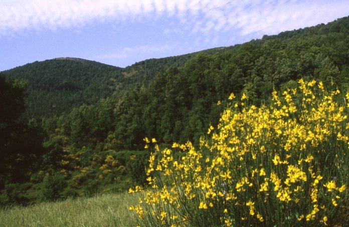 riposo
