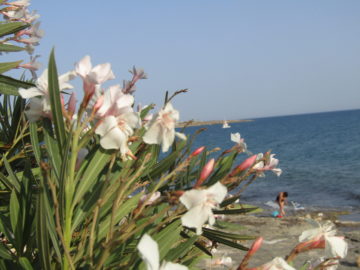 Marina di Modica spiaggia lidi mare