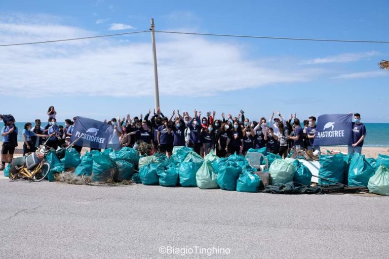 plastic free pianeta raccolta