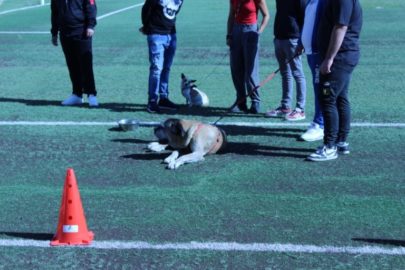 pet therapy Istituto penale minori-CT