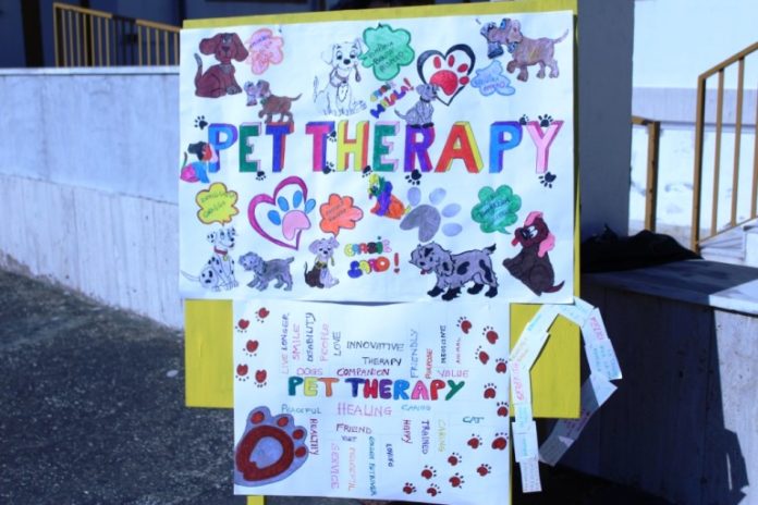 progetto pet therapy Bicocca