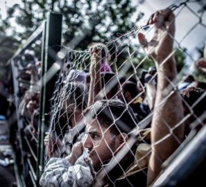 Polonia migranti