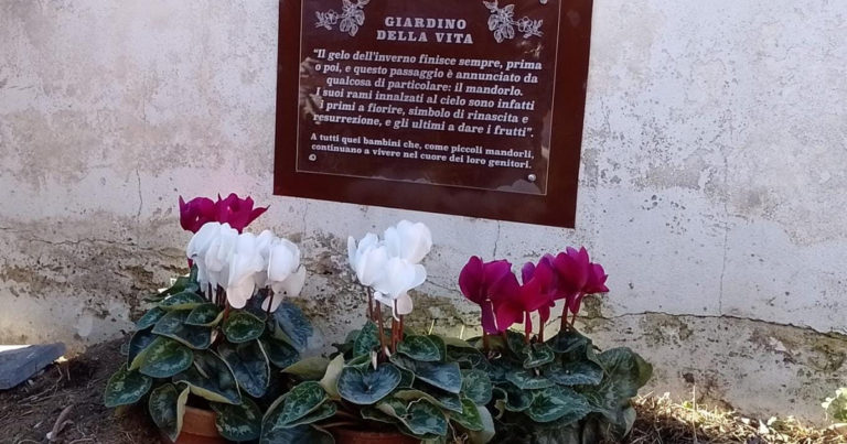 Giardino vita Aci Catena