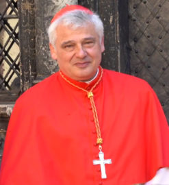 Cardinale Papa Krajewski