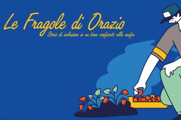 fragole di Orazio