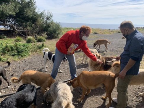 accoglienza animali