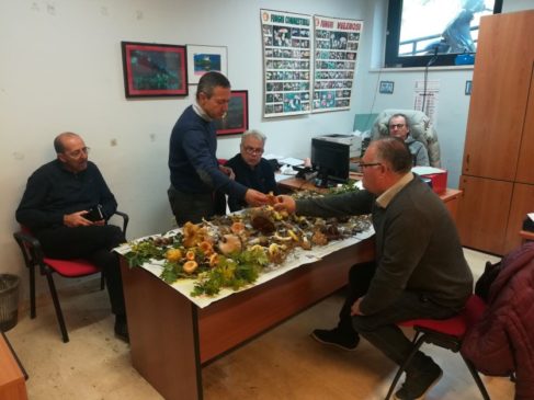 Asp Catania