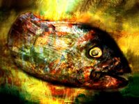 Il Pesce In Panico Tiziana La Piana Catania