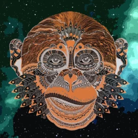 NFT Monkey Crypto Art