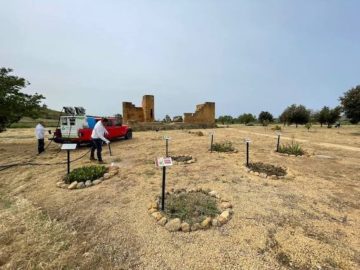 valle templi green conservation agrigento