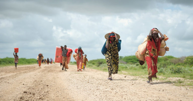 FOCSIV Volti delle Migrazioni