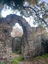 LA CUBA DI SANTO STEFANO