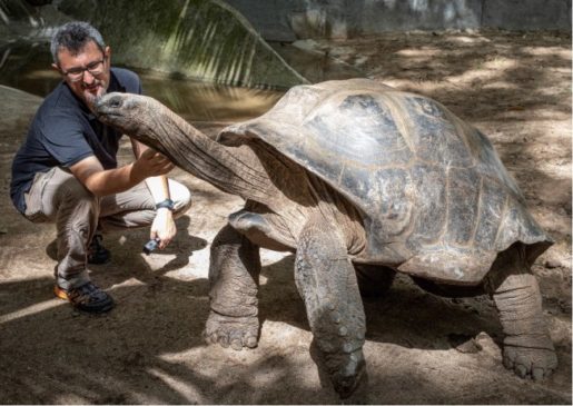 prof Delfino e tartaruga gigante