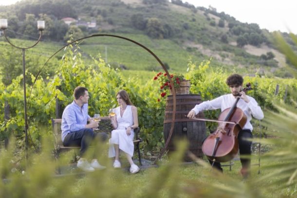 vineyard festival e musica