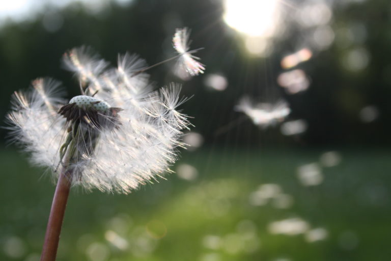 riflessione dono vita desiderio