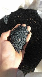 leonforte lenticchia nera