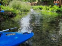 noto riserva martin pescatore canoa