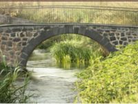 mostra sul papiro- Fiumefreddo
