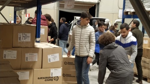 colletta alimentare,racolta alimenti