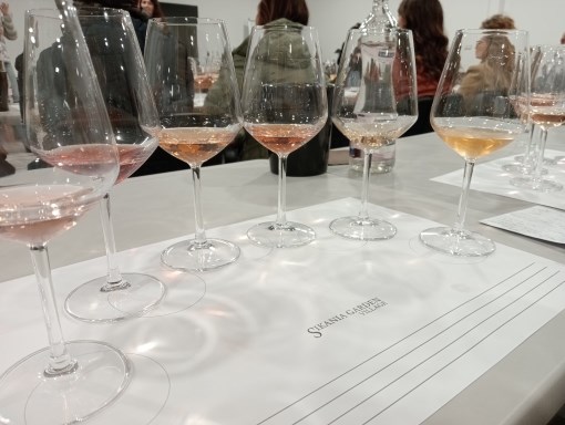 degustazione vini rosati dell'Etna