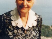 Rosa-Ambrogina
