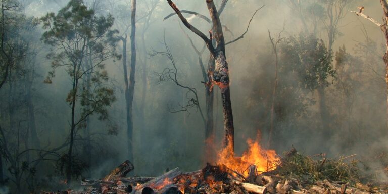 cambiamento climatico allarme onu