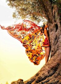 violenza donne cantarella rinascita