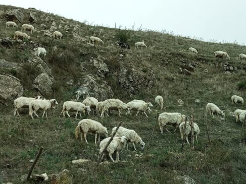 E' tempo di svegliarsi dal sonno