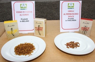 insetti e vermi ad uso alimentare