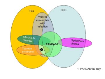 Pandas sintomi età