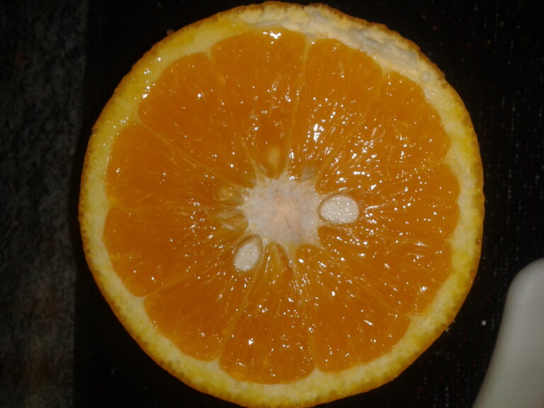 Tipicità siciliane / La sagra dell’arancia di Scillato
