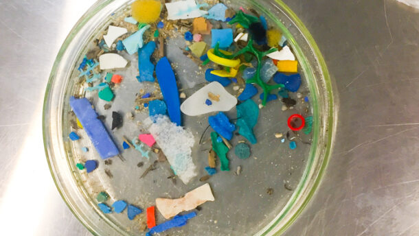 microplastiche inquinamento colori