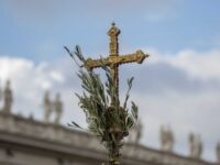 Domenica delle palme