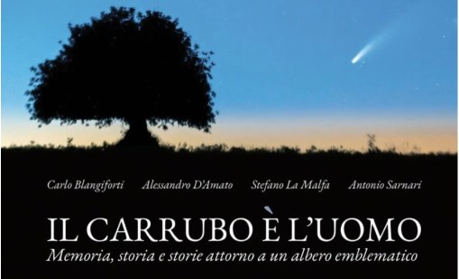 Libro Il carrubo è l'uomo