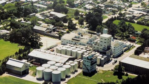 Siciliani argentina Stabilimento Materia