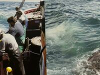 Siciliani Argentina Pesca