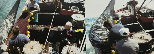 Siciliani Argentina Pesca