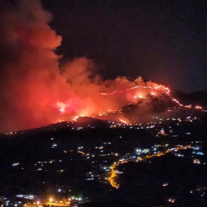 mondello incendio luglio