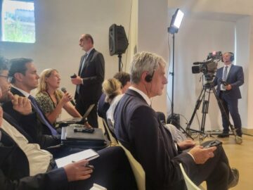 Incontro Mattarella Steinmeier  conferenza stampa