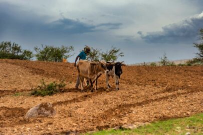  africa - agricoltura - cambiamento