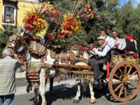 carretto-sagra-della-vendemmia-viagrande