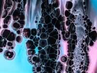 rappresentazione di una biopsia ossea